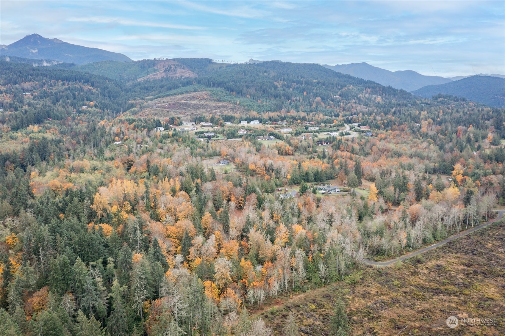 677 Fors Road Port Angeles, WA 98363 - Photo 17 of 40 a view of a forest with mountains in the background