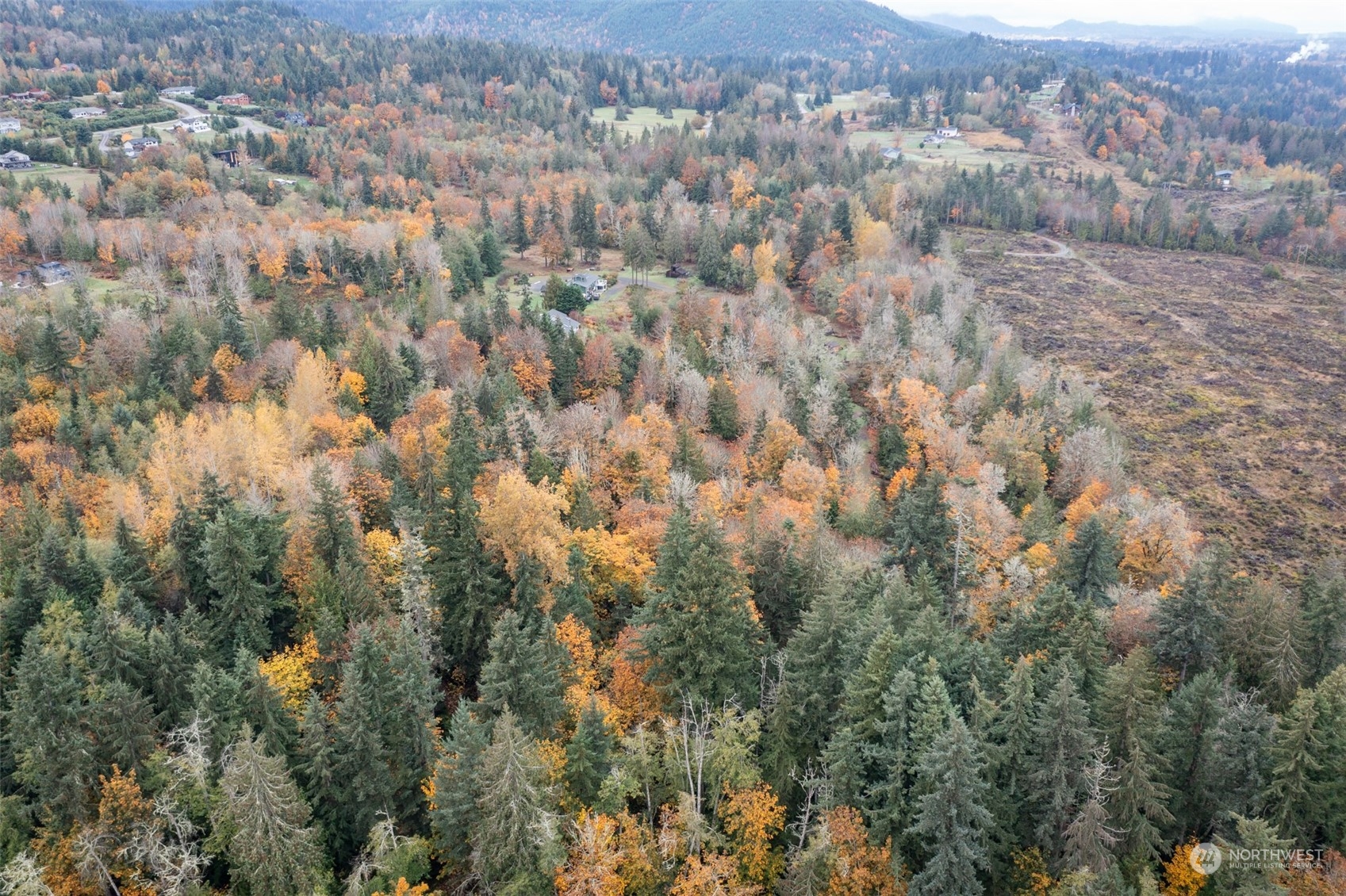 677 Fors Road Port Angeles, WA 98363 - Photo 18 of 40