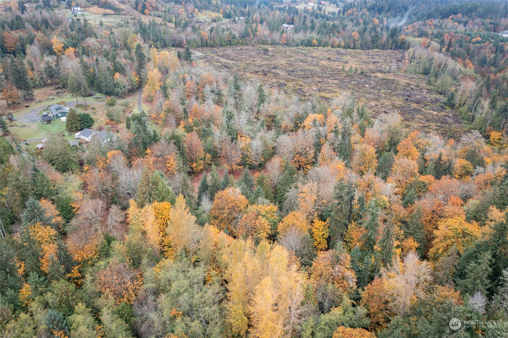 677 Fors Road Port Angeles, WA 98363 - Photo 20 of 40 a view of a yard