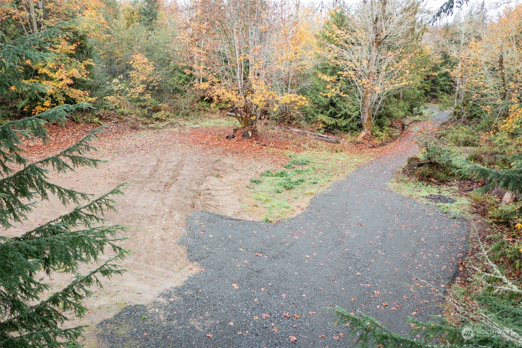 677 Fors Road Port Angeles, WA 98363 - Photo 2 of 40 a view of a dirt road with trees