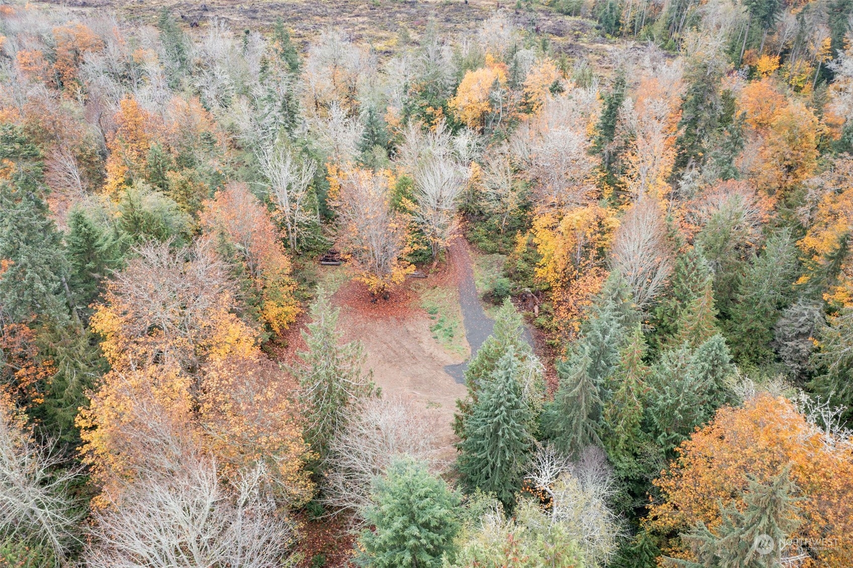 677 Fors Road Port Angeles, WA 98363 - Photo 21 of 40 a view of a tree in a forest