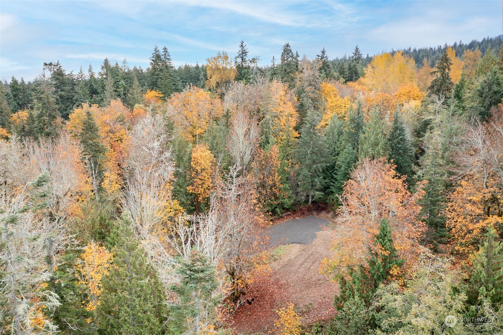 677 Fors Road Port Angeles, WA 98363 - Photo 23 of 40 a view of a yard with a house in the background