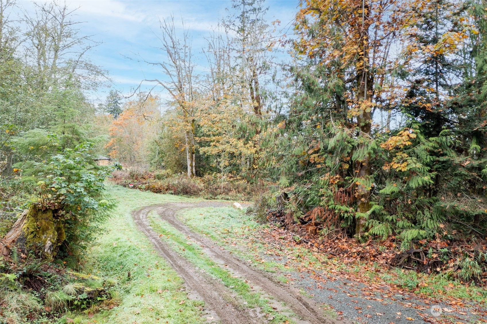 677 Fors Road Port Angeles, WA 98363 - Photo 25 of 40 a view of a yard with plants and trees