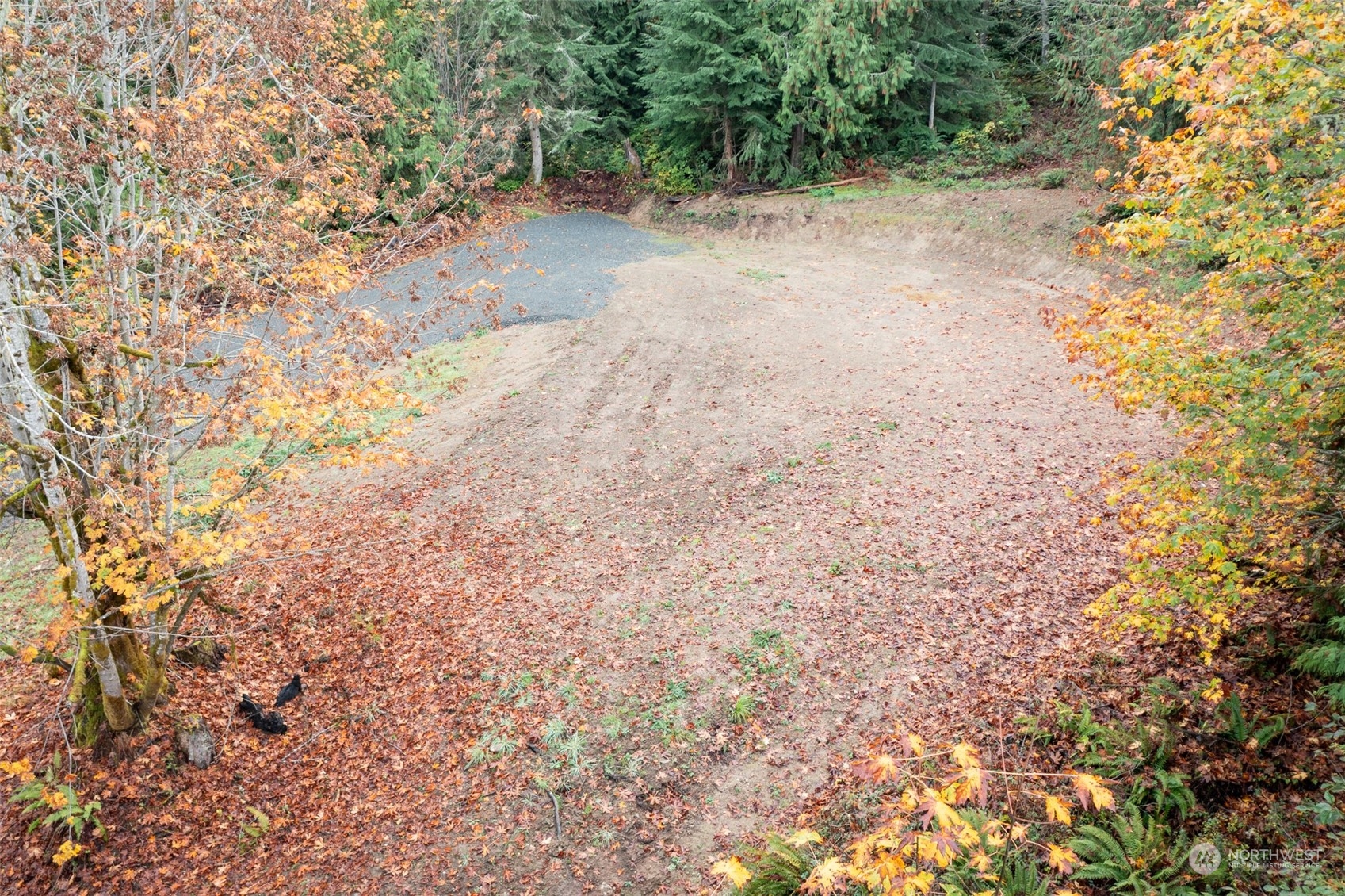 677 Fors Road Port Angeles, WA 98363 - Photo 27 of 40 a view of a yard with a tree