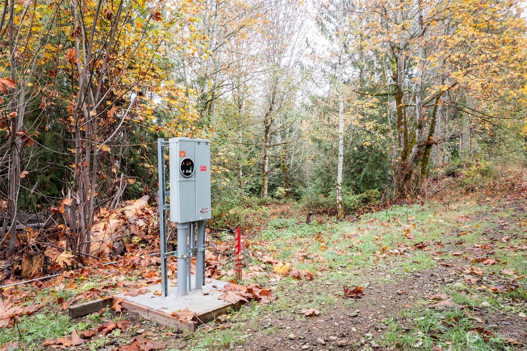 677 Fors Road Port Angeles, WA 98363 - Photo 28 of 40 a flag is sitting in the middle of the forest