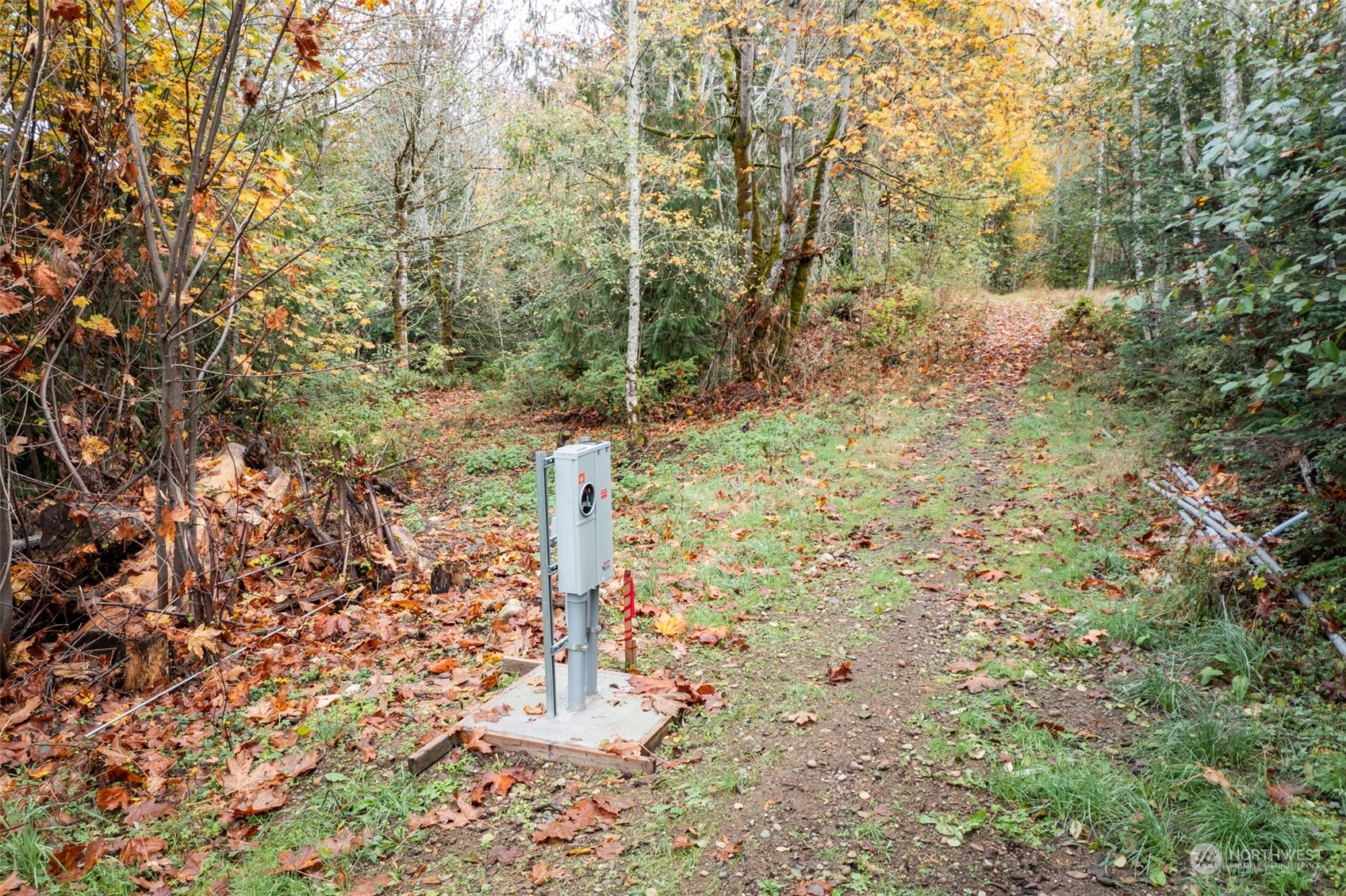 677 Fors Road Port Angeles, WA 98363 - Photo 29 of 40 a view of a yard with trees