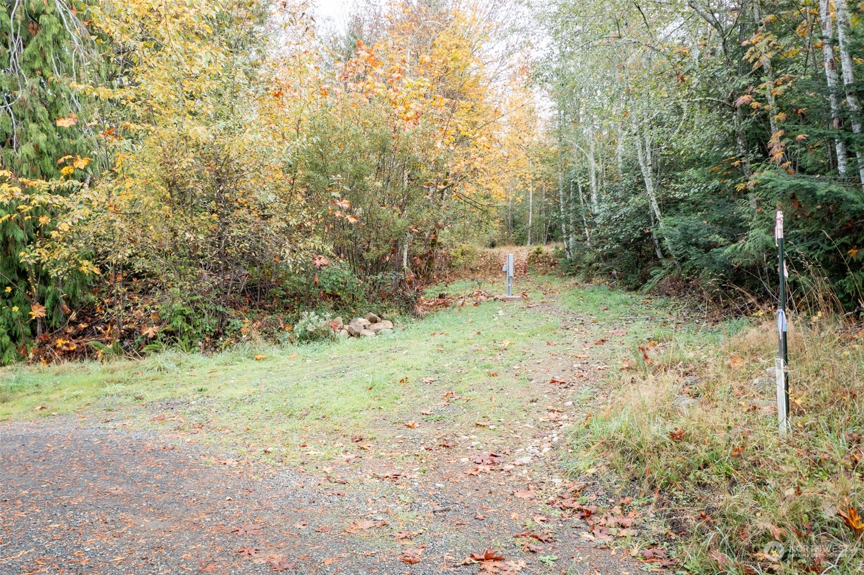 677 Fors Road Port Angeles, WA 98363 - Photo 30 of 40 a view of a yard with a tree