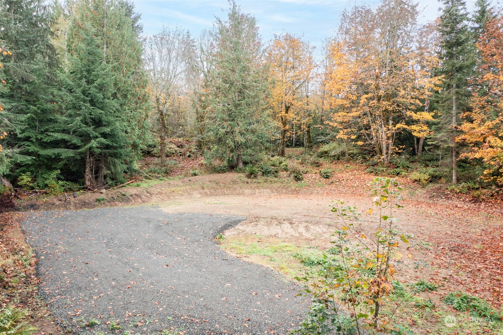 677 Fors Road Port Angeles, WA 98363 - Photo 3 of 40 a view of a yard with trees in the background