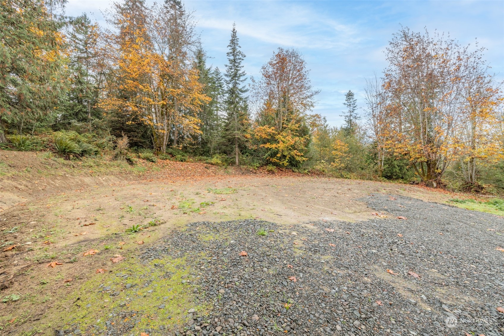 677 Fors Road Port Angeles, WA 98363 - Photo 31 of 40 a view of empty yard with trees