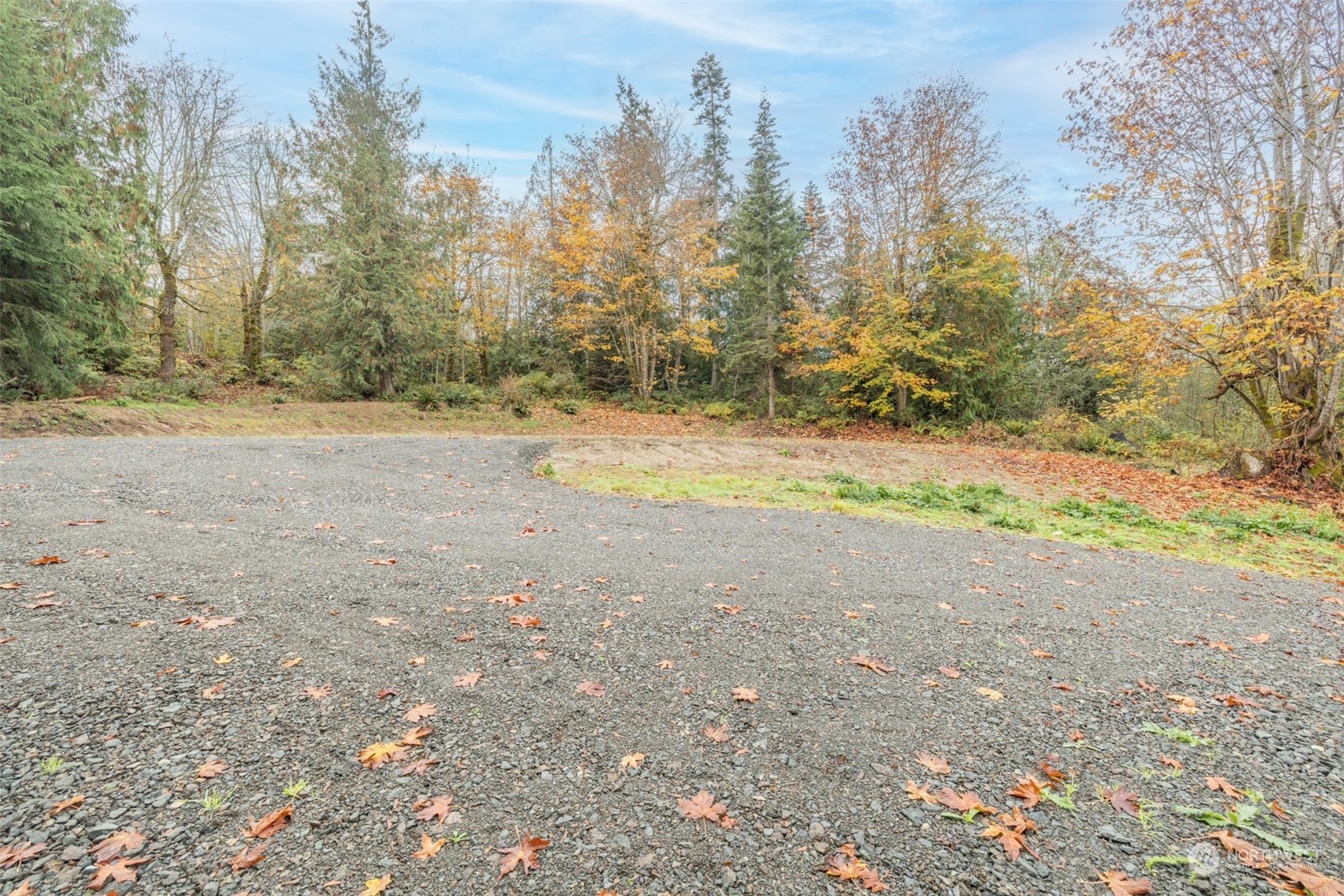 677 Fors Road Port Angeles, WA 98363 - Photo 33 of 40 a view of a yard with a tree