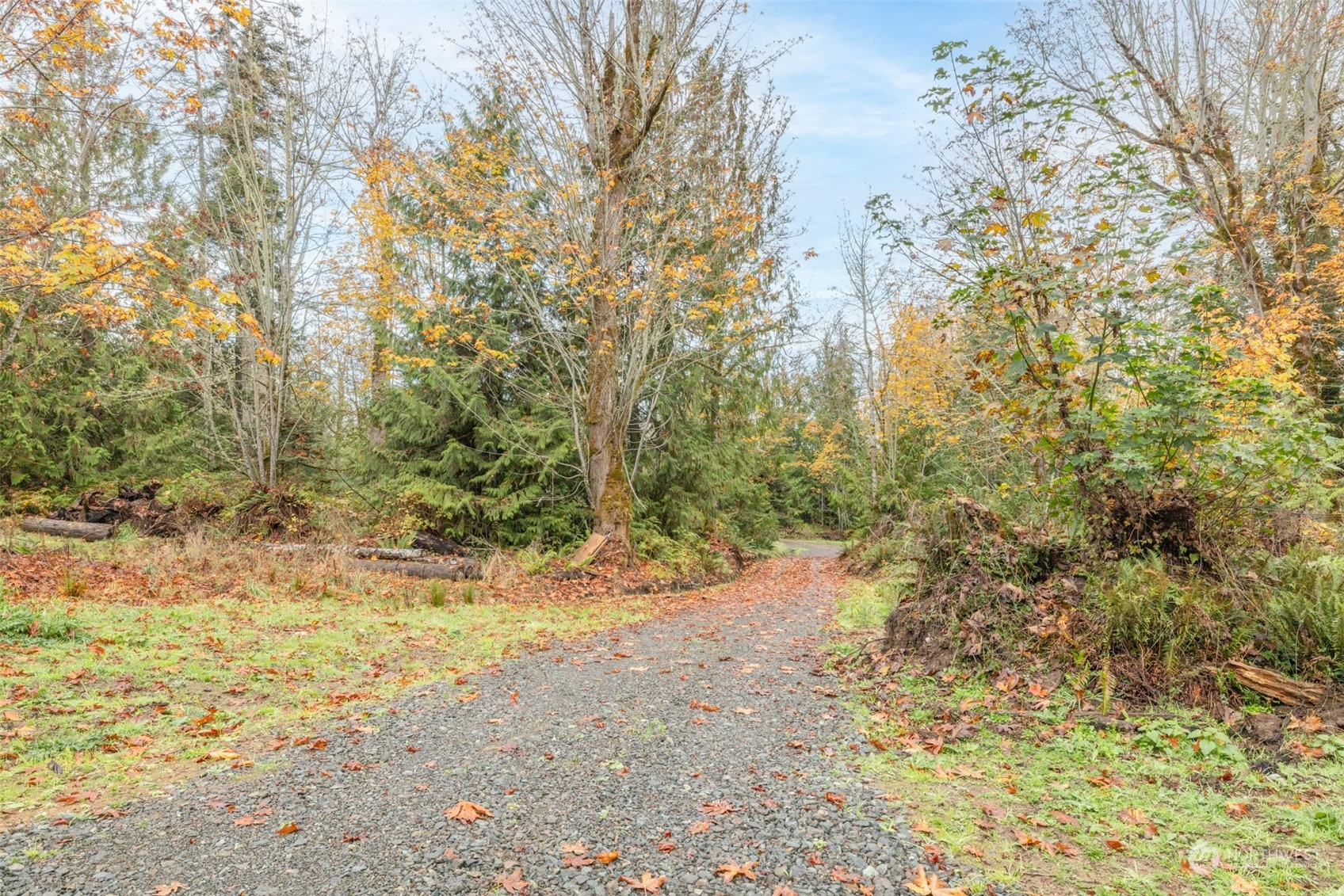 677 Fors Road Port Angeles, WA 98363 - Photo 34 of 40 a view of a yard with trees