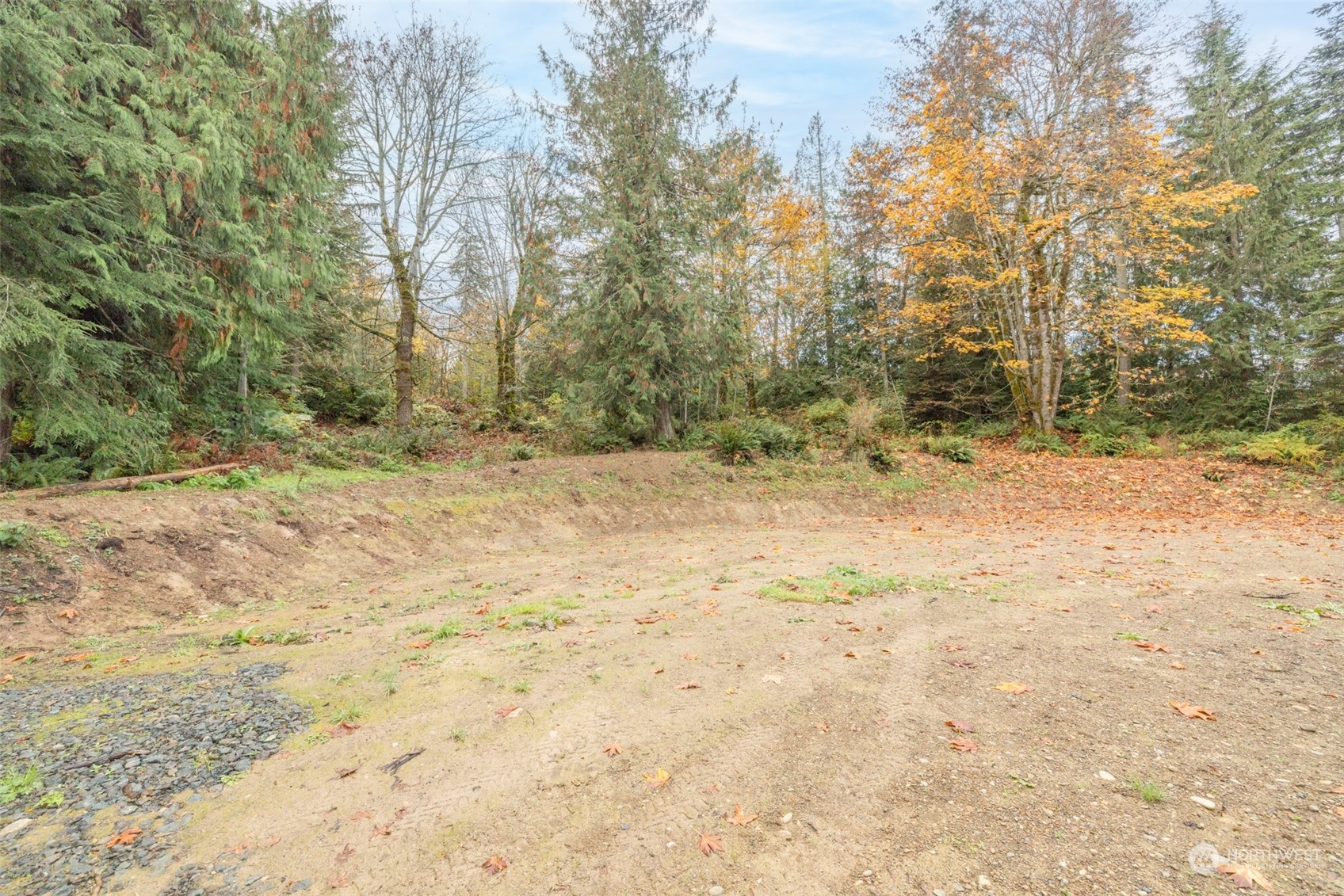 677 Fors Road Port Angeles, WA 98363 - Photo 35 of 40 a view of a yard with trees