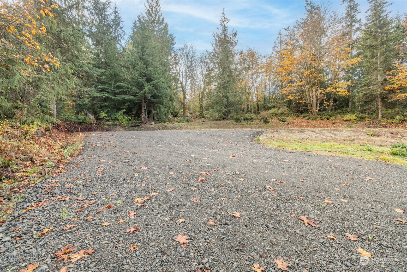 677 Fors Road Port Angeles, WA 98363 - Photo 37 of 40 a view of a yard with trees
