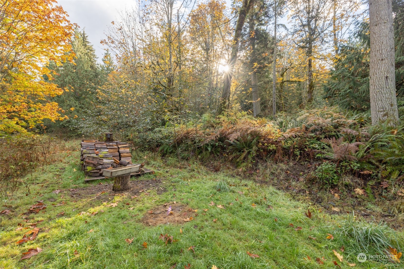 677 Fors Road Port Angeles, WA 98363 - Photo 40 of 40 a backyard of a house with table and chairs