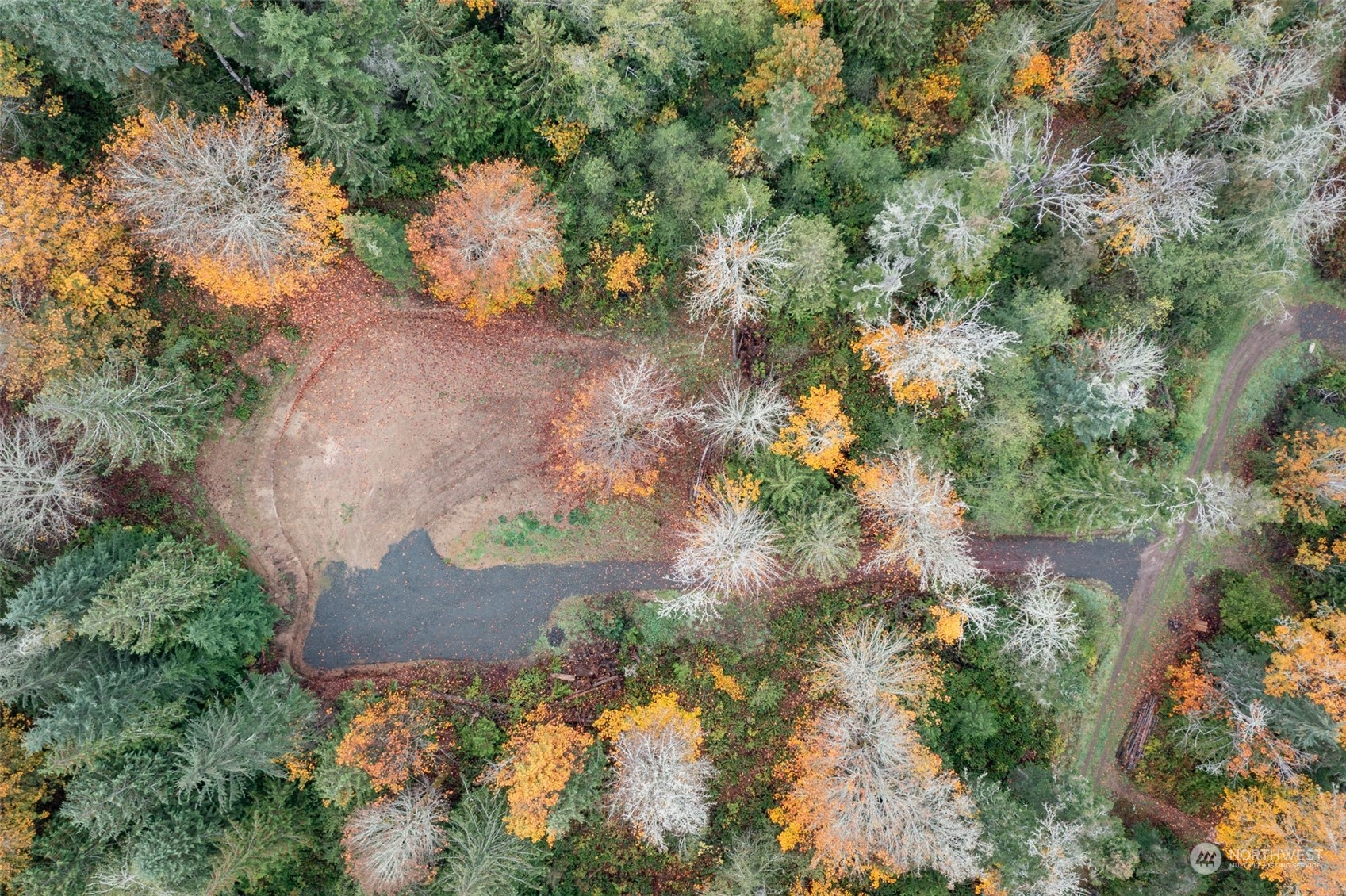 677 Fors Road Port Angeles, WA 98363 - Photo 5 of 40 an aerial view of a house with yard