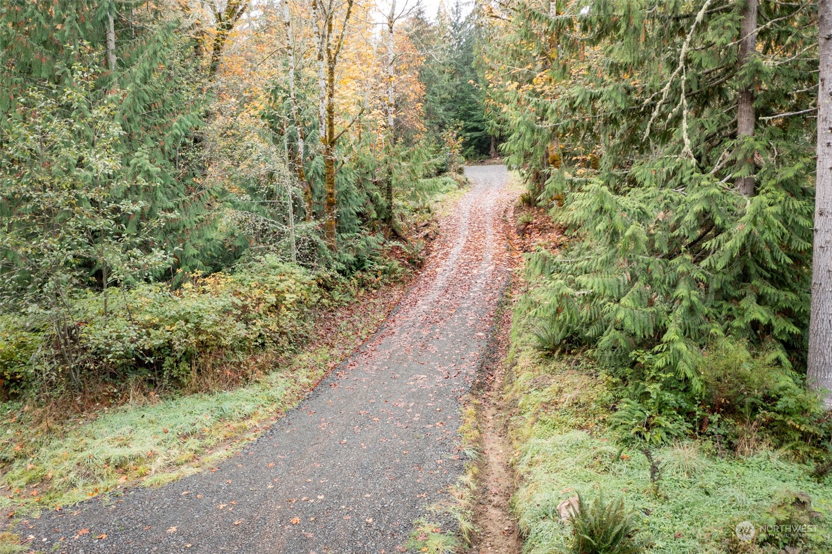 677 Fors Road Port Angeles, WA 98363 - Photo 6 of 40 a view of a forest with a pathway