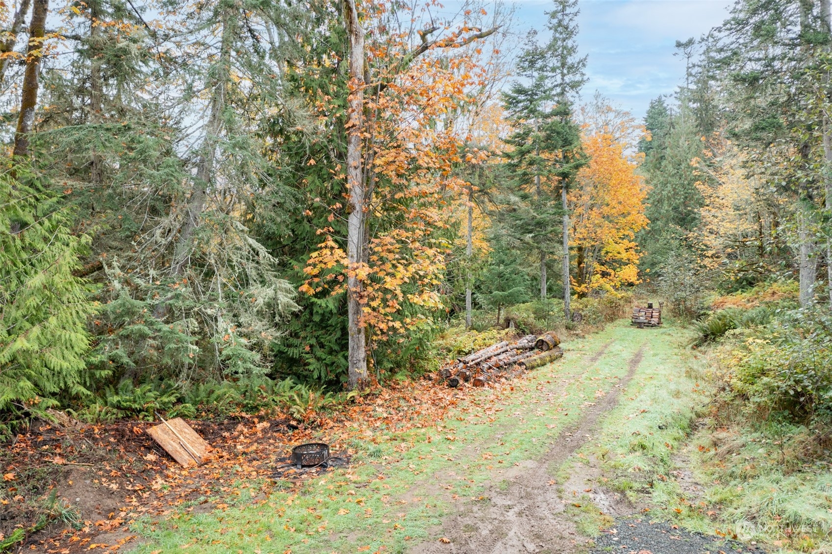 677 Fors Road Port Angeles, WA 98363 - Photo 7 of 40 a view of a yard with trees
