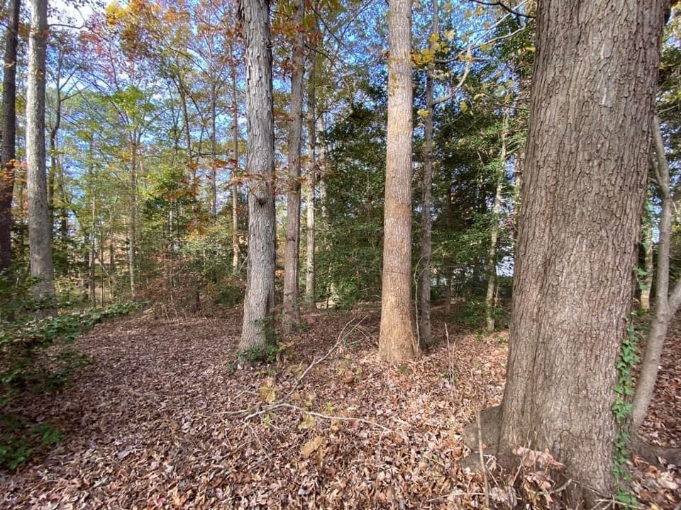 4511 Buffaloe Road Raleigh, NC 27616 - Photo 11 of 18 Photo 11