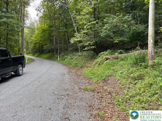 a view of a yard with a bench