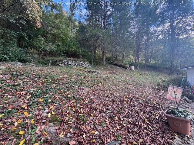 4929 Elk River Road Procious, WV 25164 - Photo 38 of 38 Gallery Image 38