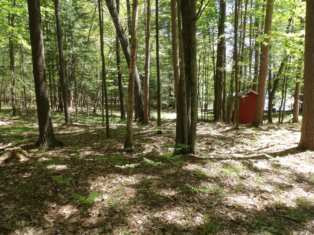 4051 Bass Lake Loop Rhinelander, WI 54501 - Photo 28 of 30 Gallery Image 28