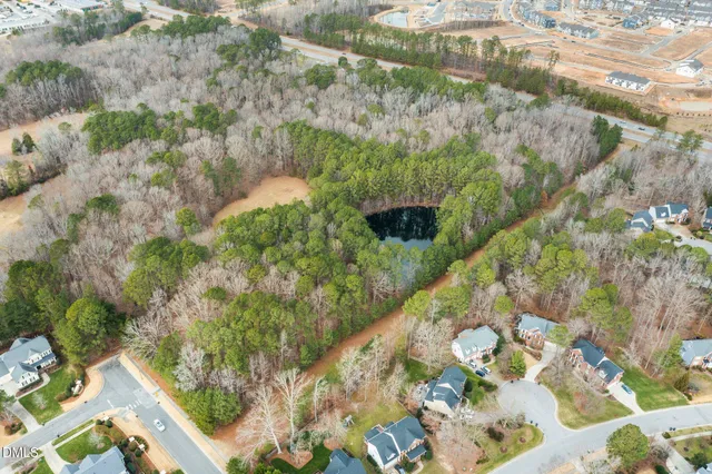 a view of a yard with plants