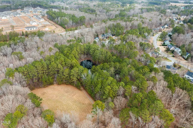 a view of a yard with plants