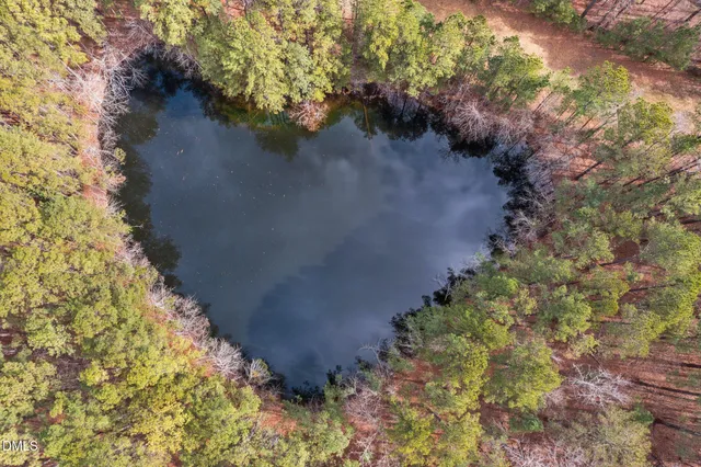 a view of a yard with plants and a trees