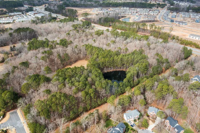 a view of a lake with large trees