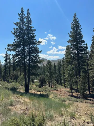 a view of a lake with a tree in the background