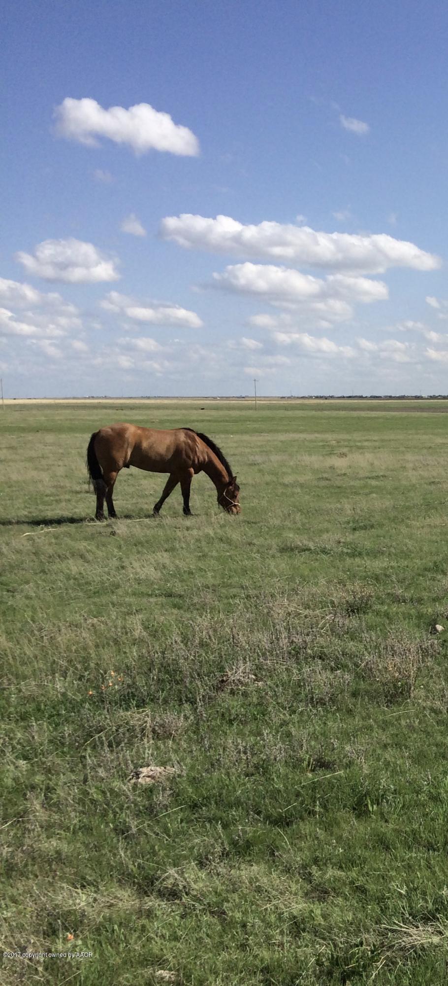 7 Rockwell Road Canyon, TX 79015 - Photo 4 of 4 fullsizeoutput_23bd