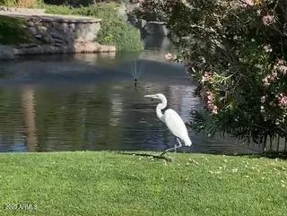 $1,198,000 | 919 South Paradise Drive, Gilbert, AZ 85233