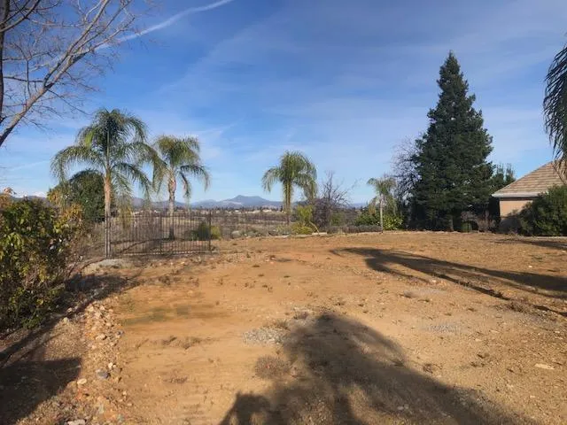 a view of dirt yard with palm trees