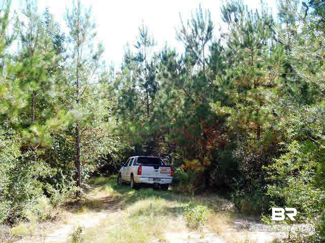 0 Pine Street Eight Mile, AL 36613 - Photo 4 of 5