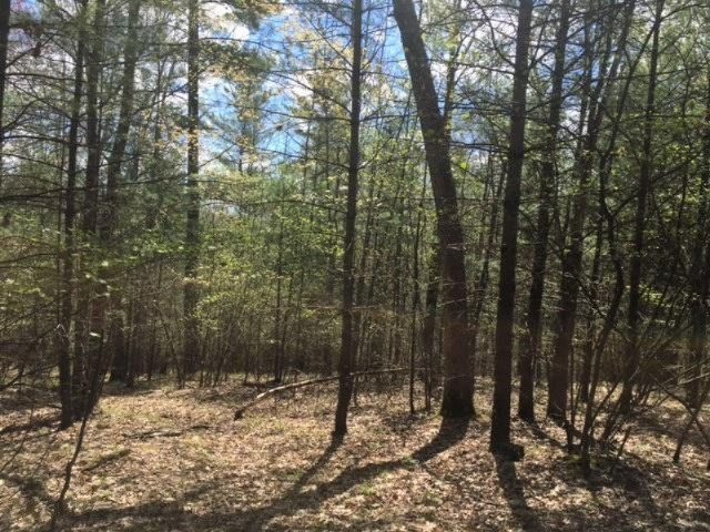 Del Vandall Road Chase, MI 49623 - Photo 16 of 16 image15