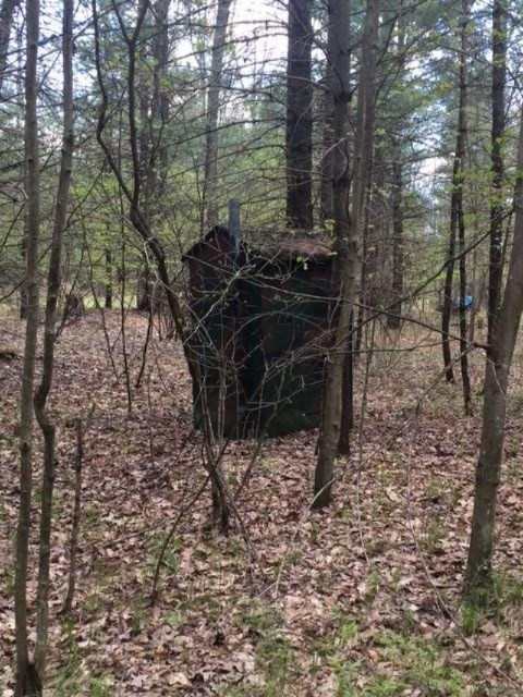 Del Vandall Road Chase, MI 49623 - Photo 3 of 16 image1
