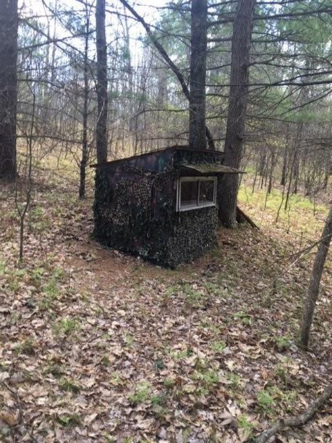 Del Vandall Road Chase, MI 49623 - Photo 4 of 16 image2