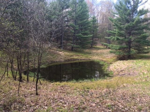 Del Vandall Road Chase, MI 49623 - Photo 5 of 16 image3
