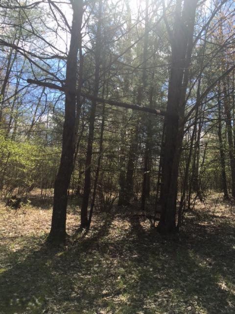 Del Vandall Road Chase, MI 49623 - Photo 10 of 16 image9