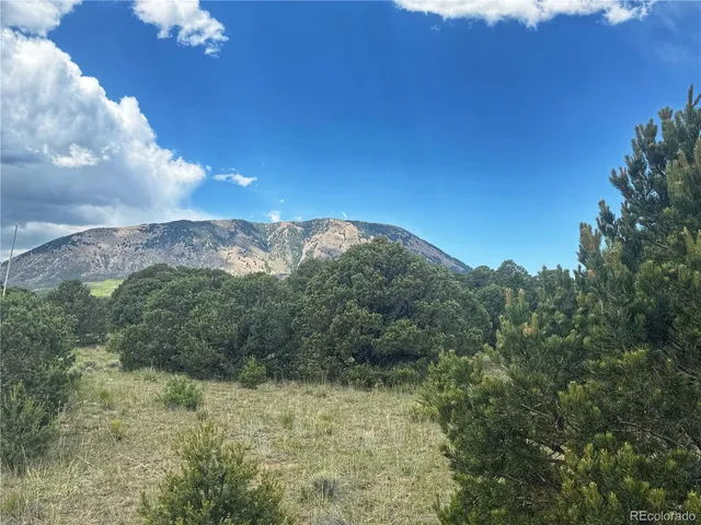 a view of lot of a house