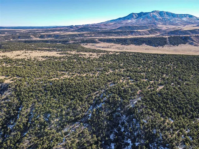 a view of a large body of water with lots of trees