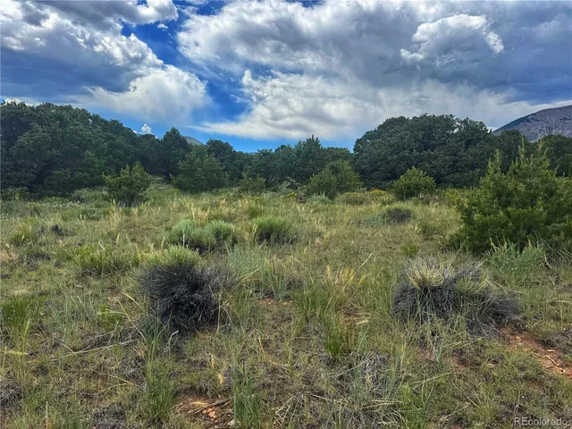 a view of a city lush green forest with lots of trees
