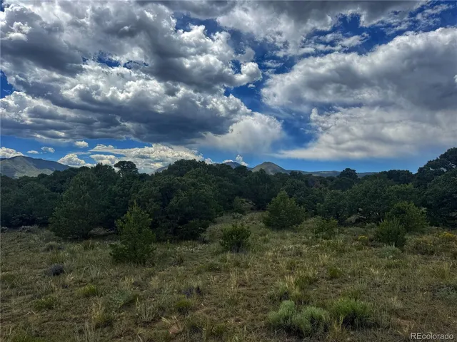 a view of a bunch of trees in a field