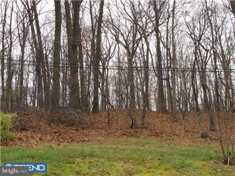 54 Fahnestock Road Malvern, PA 19355 - Photo 3 of 12 Exterior Back