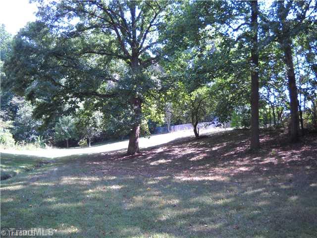 4716 Sandy Camp Road High Point, NC 27265 - Photo 10 of 13 Land/Lot.