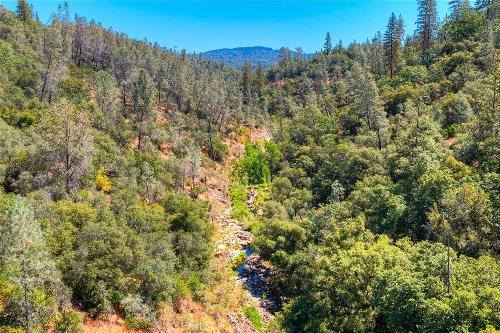 0 Swedes Flat Road Bangor, CA 95914 - Photo 23 of 37