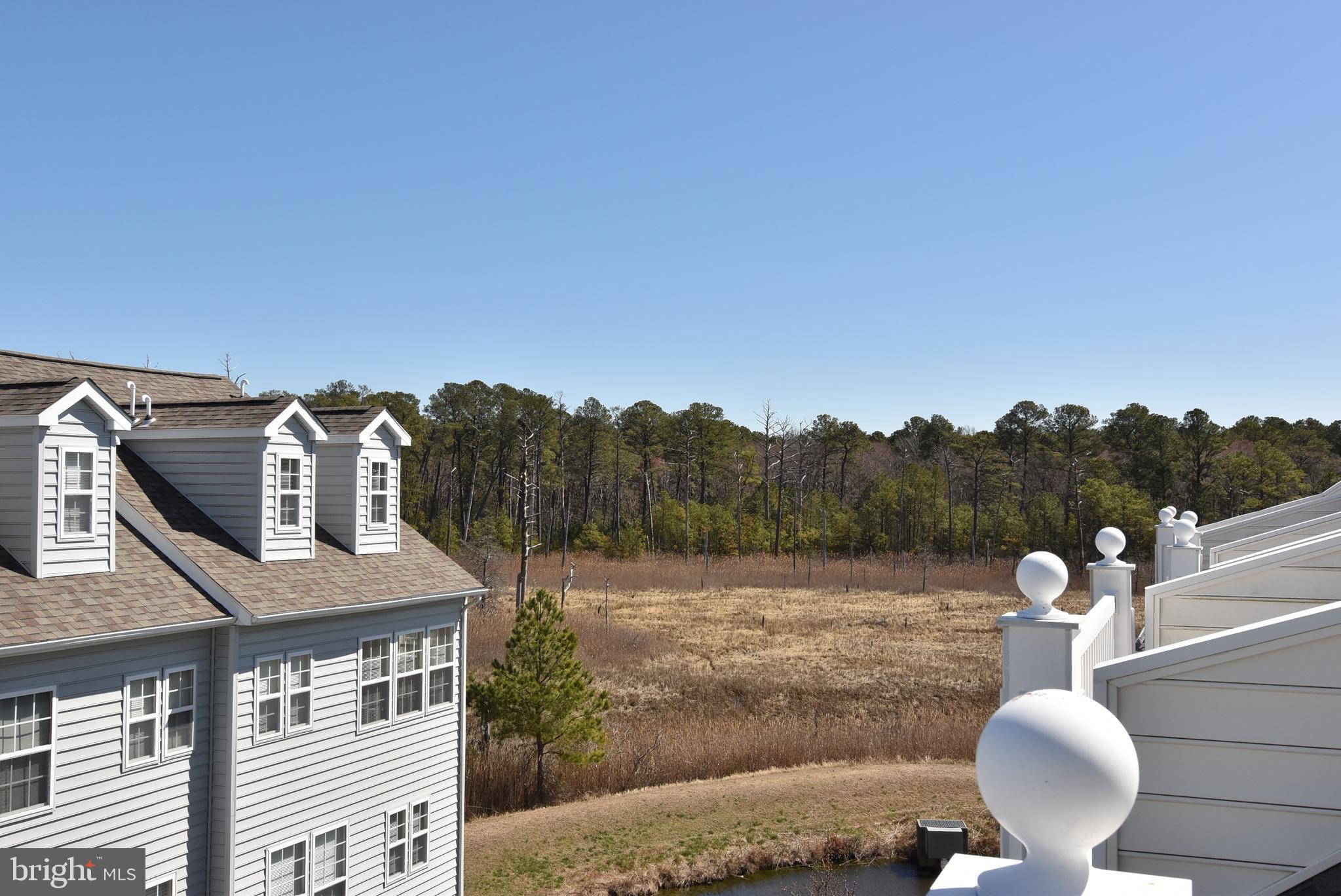 26767 Chatham Lane, Unit B195 Millsboro, DE 19966 - Photo 24 of 36