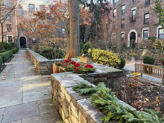 a street view with large trees
