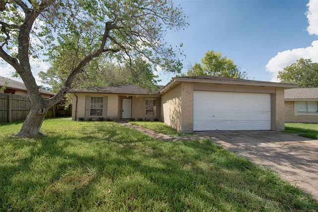 a backyard of a house with plants and large tree