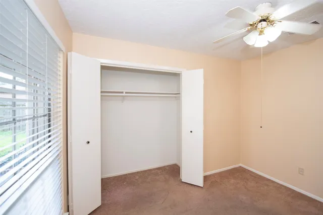 a view of a back yard